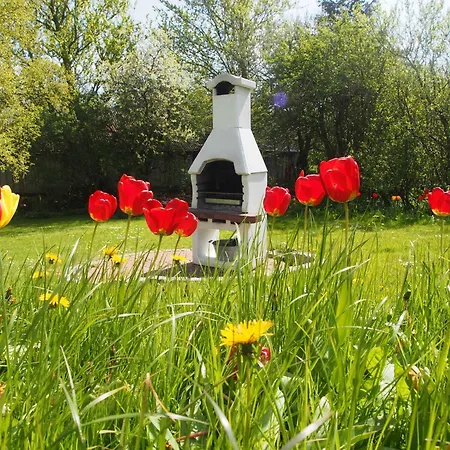Ferienhaus Ockholm Hébergement de vacances Ockholm